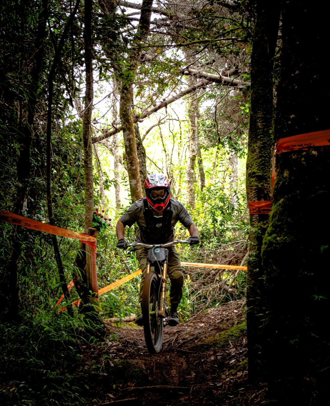 Rider entrando a un tramo boscoso del circuito